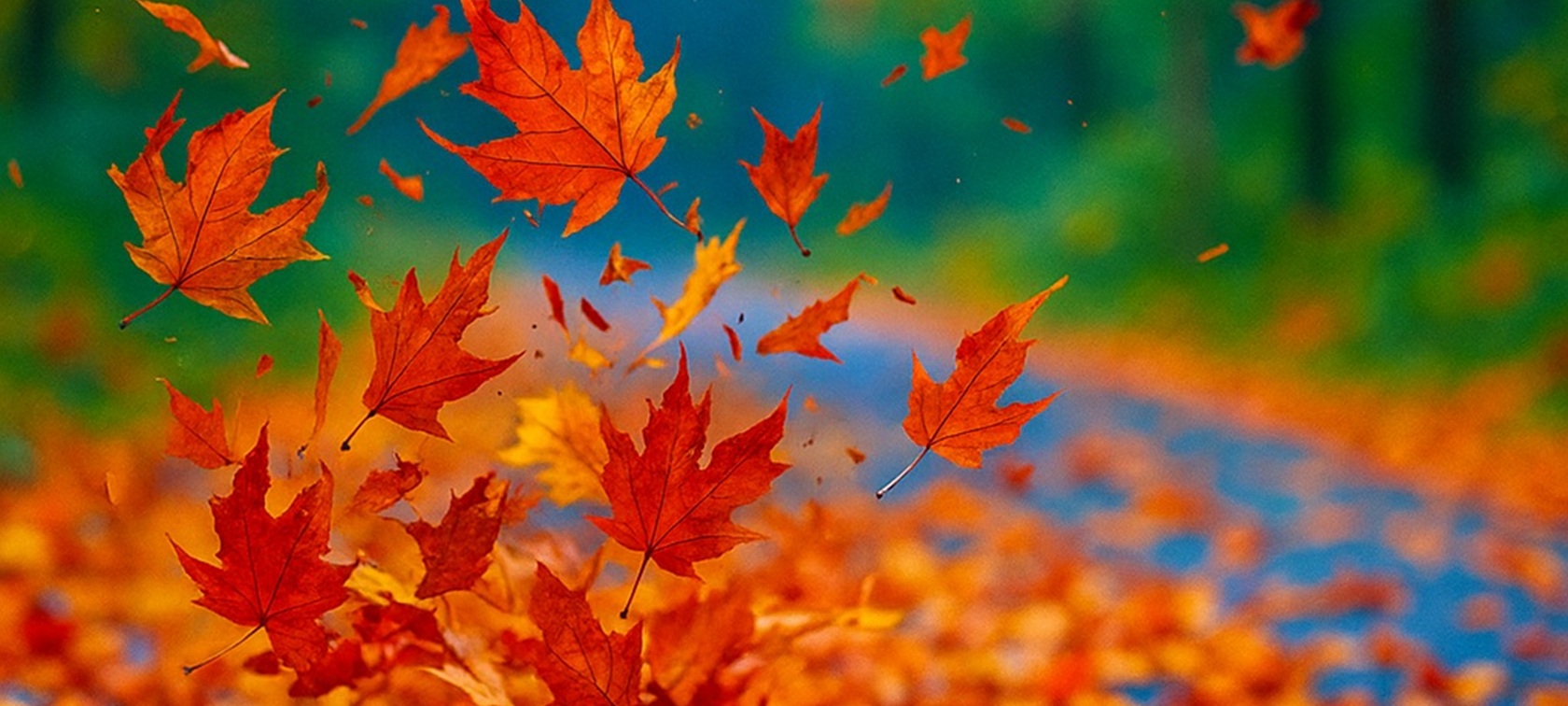 GROSSE HERBST-AKTIONSWOCHEN GROSSE HERBST-AKTIONSWOCHEN