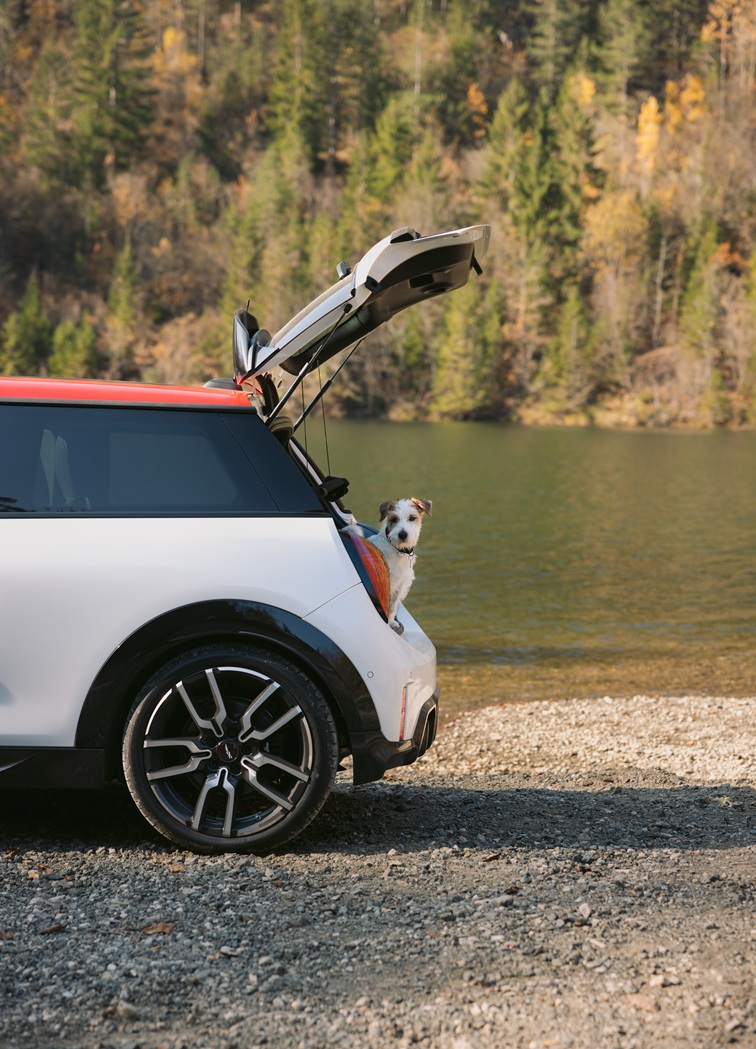 Fahrmodi für jeden Anspruch: